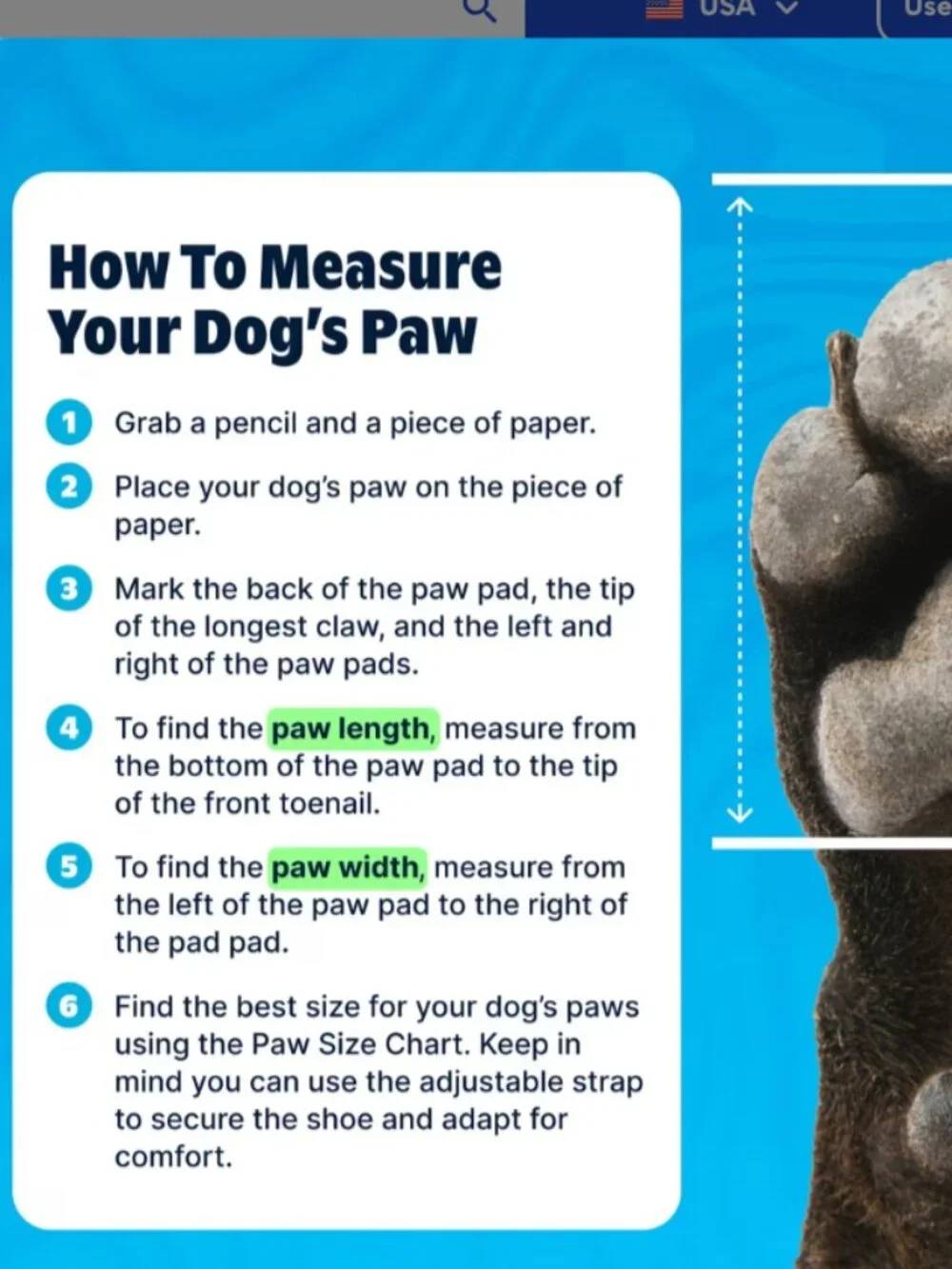 Bark Crocs for Dogs
